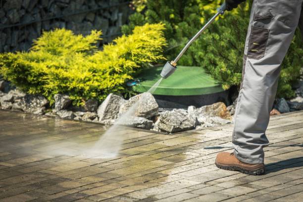 Best Soft Washing  in Sonterra, TX