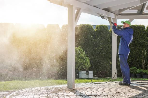 Best Animal Enclosure Cleaning  in Sonterra, TX